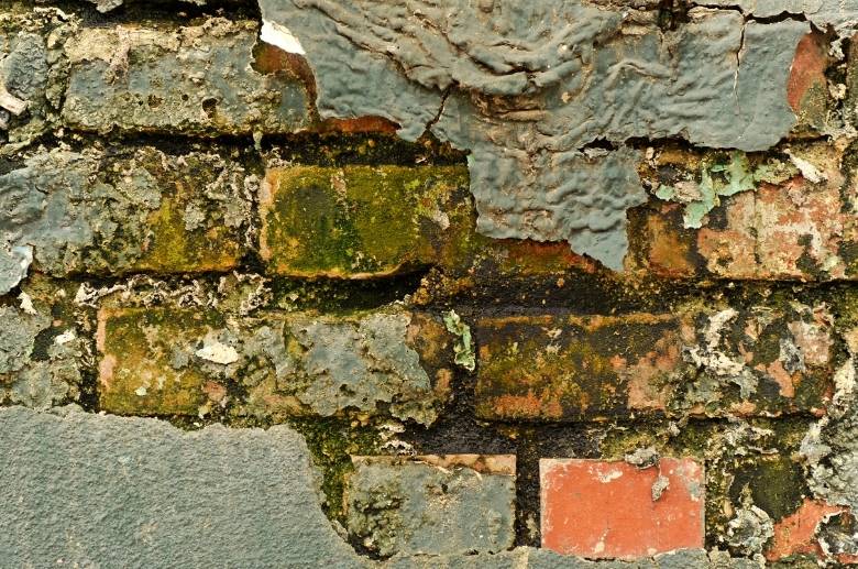 Fireplace Mold 7 Common Causes And Solutions (Easy Methods)