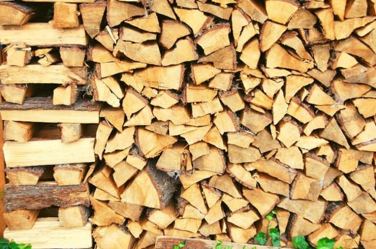 Firewood Won't Burn? 7 Most Common Reasons & Solutions