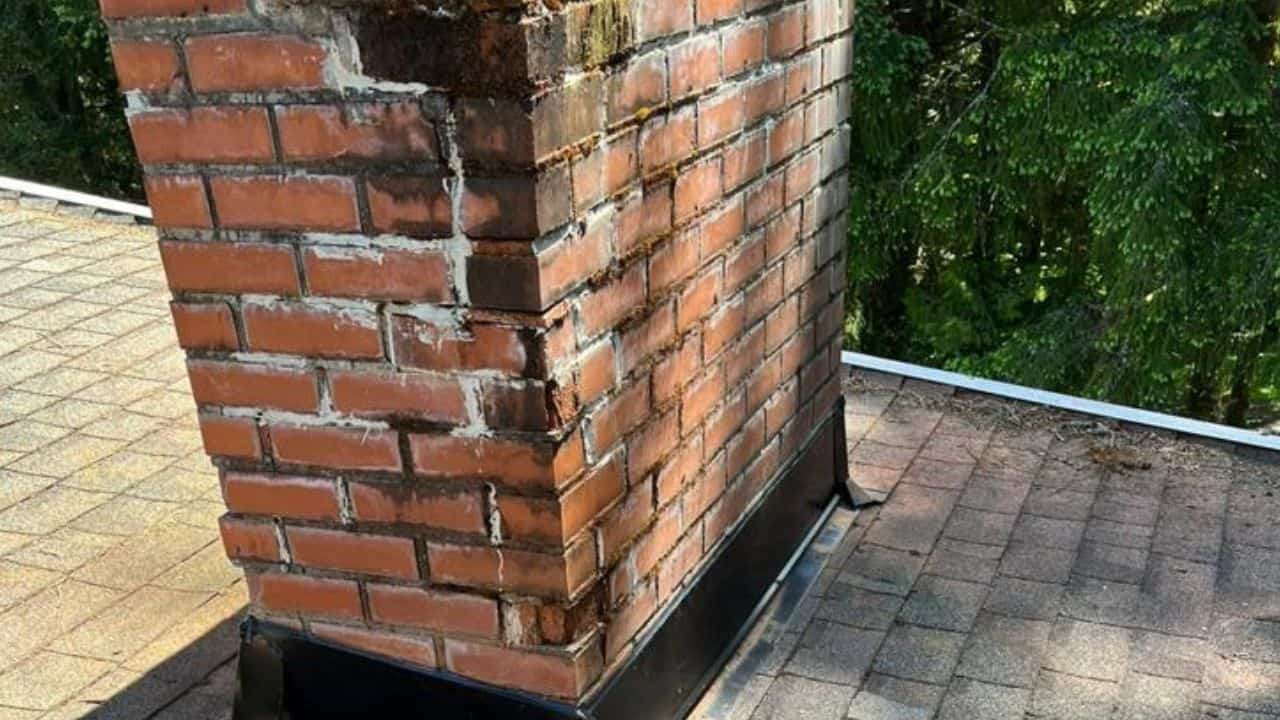 How To Handle Mold In Chimney Homeowners Guide 2024