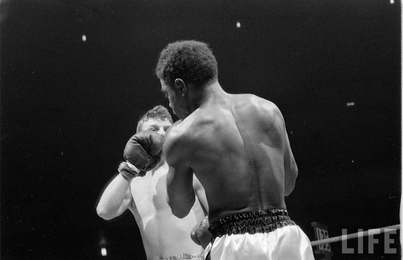 History Golden Gloves STL