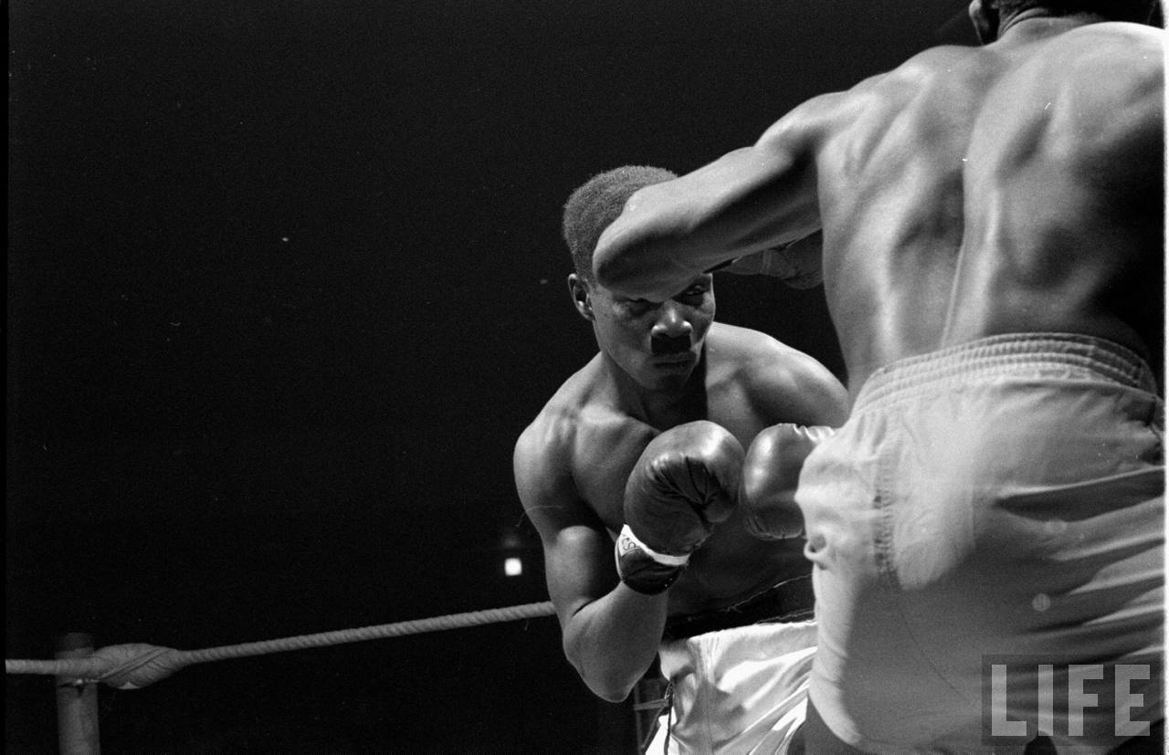 History Golden Gloves STL