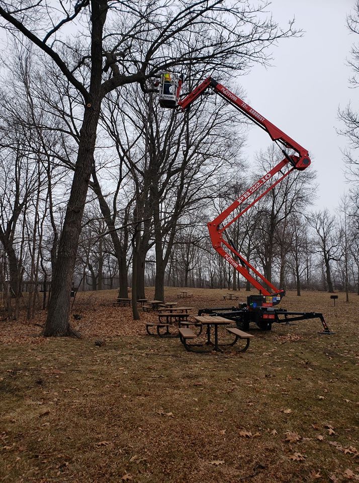 Gold Leaf Tree Services Gold Leaf Tree Services Bark Profile And