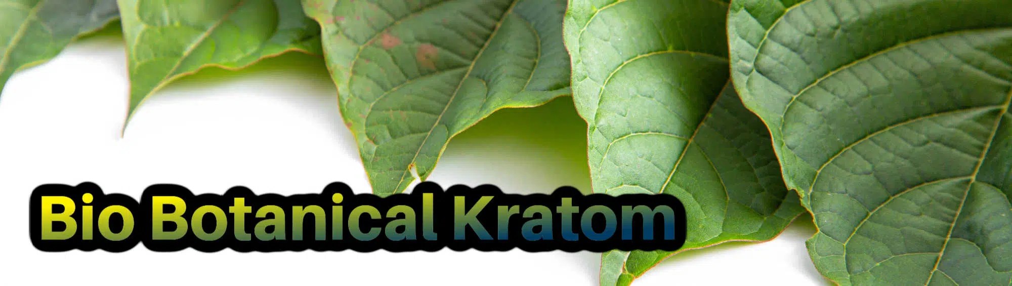 Bio Botanical Kratom Review Know This Before Buying