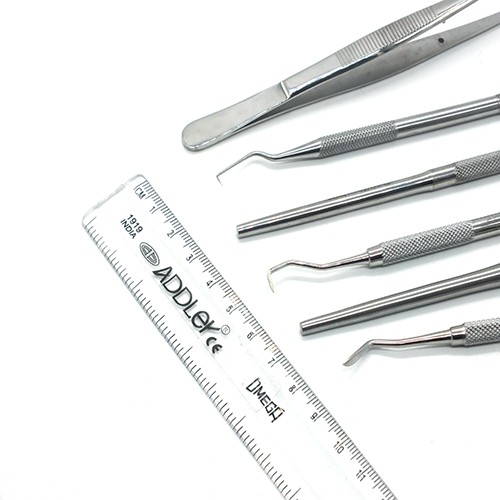 ADDLER Dental Dog Teeth Build Up And Plaque Remover Kit Of Amalgam