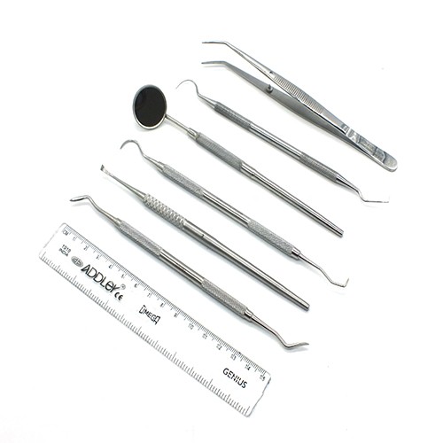 ADDLER Dental Dog Teeth Build Up And Plaque Remover Kit Of Amalgam