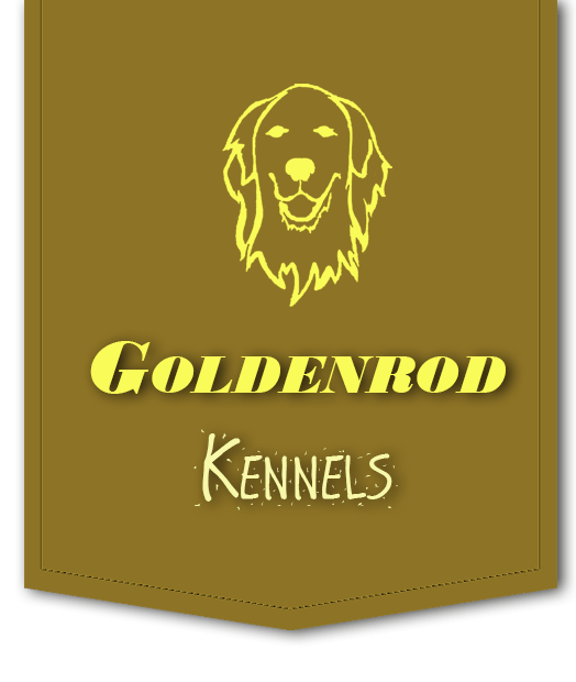 Goldenrod Kennels Western PA's Premier Golden Retriever Breeder