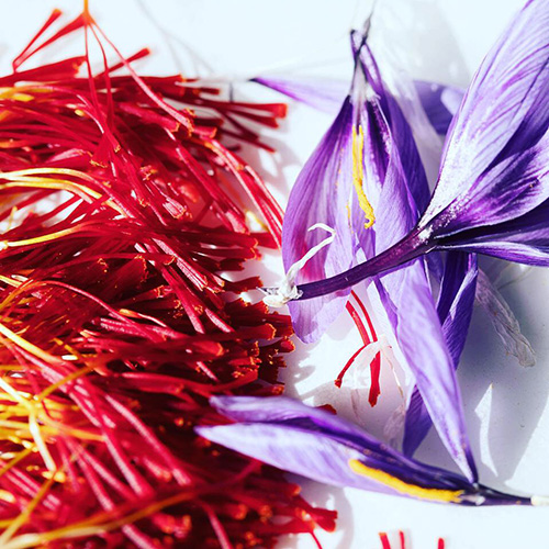 Vermont Saffron Golden Thread Farm Saffron for sale