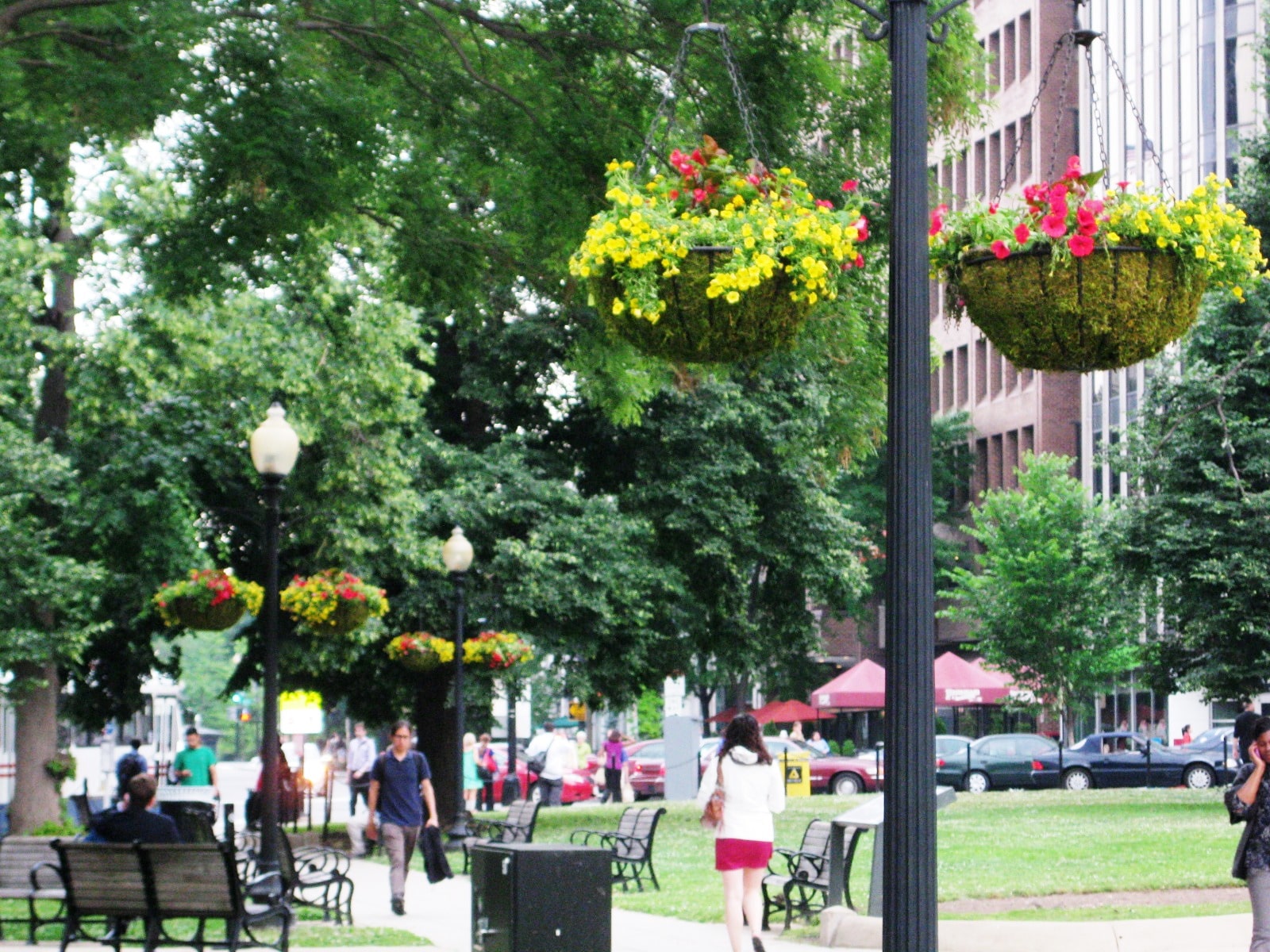 Farragut Park Golden Triangle