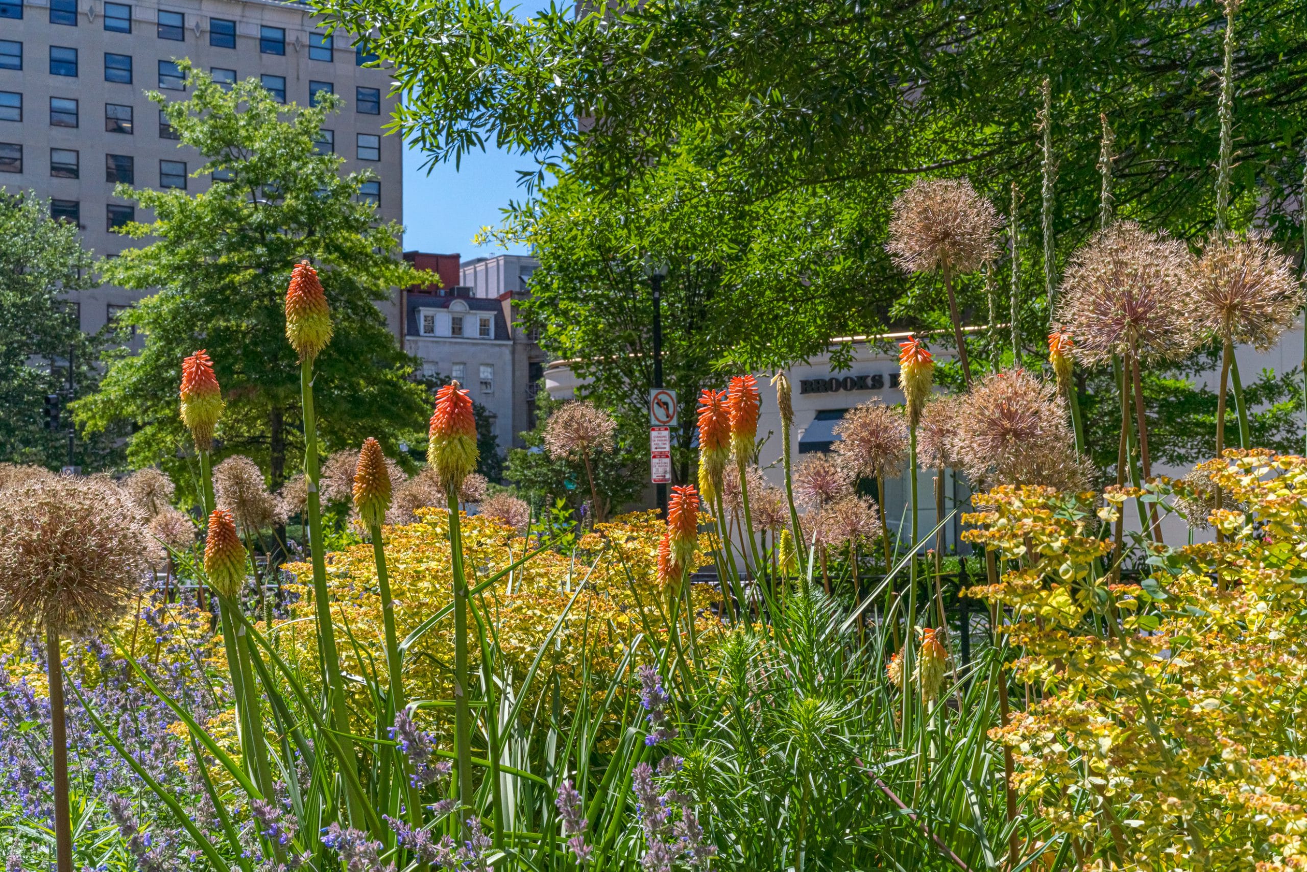 Rain Gardens Golden Triangle