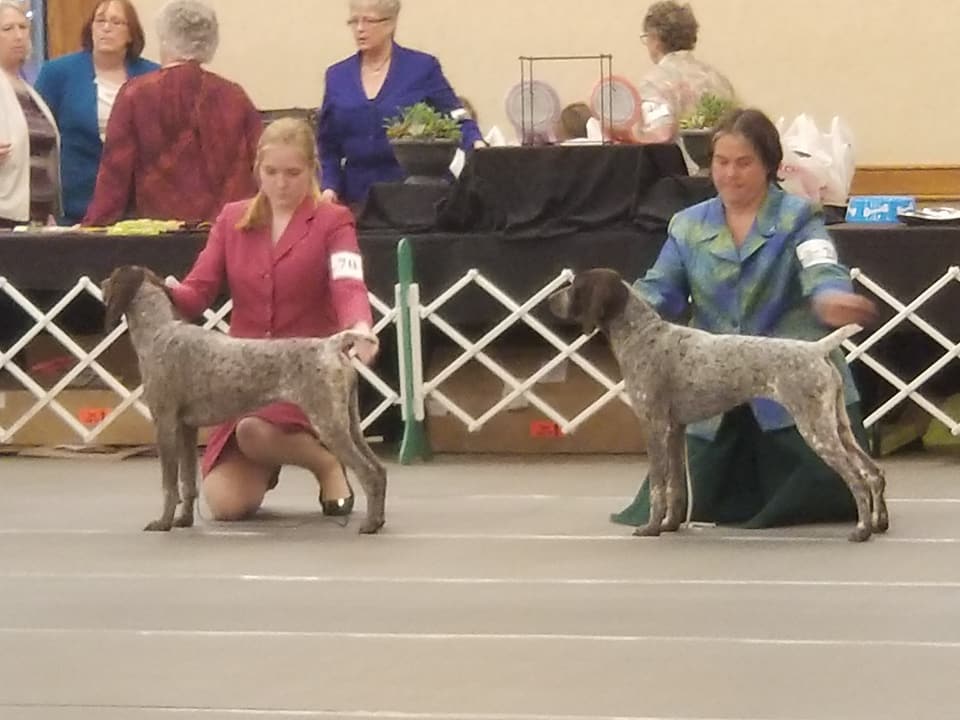 Golden Triangle Kennel Club of Mississippi