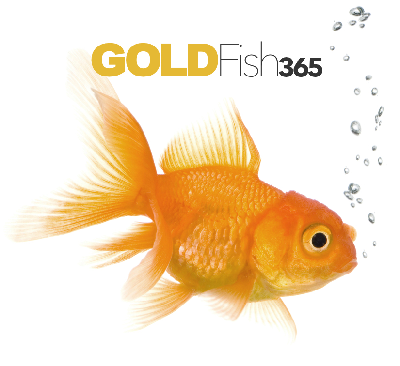 Contact Us GOLDFish365
