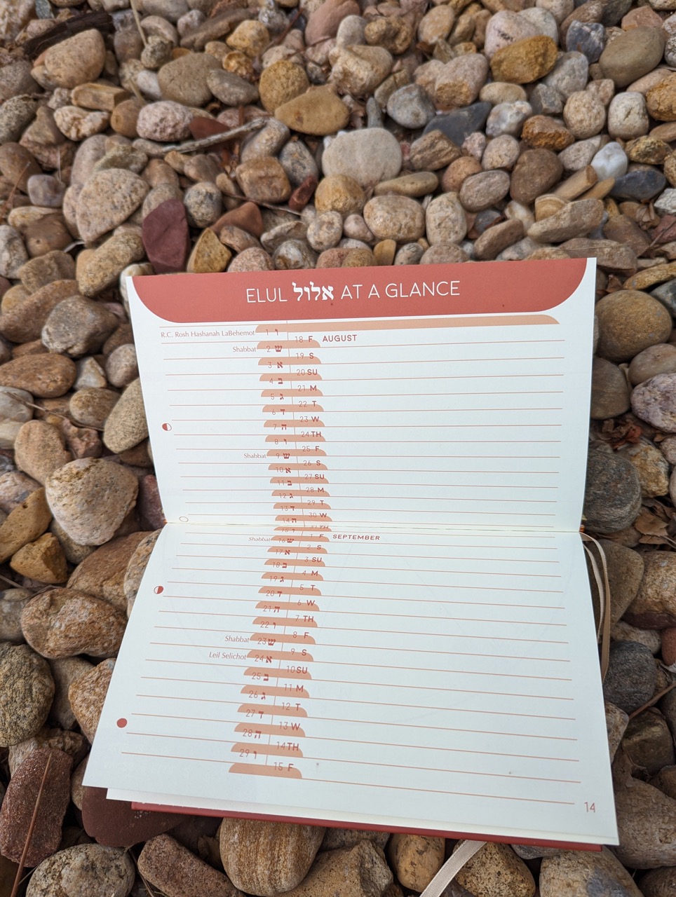 The Jewish Planner 5784 Gold Herring