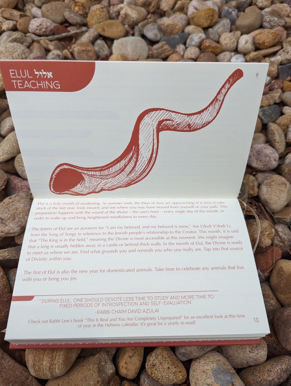 The Jewish Planner 5784 Gold Herring