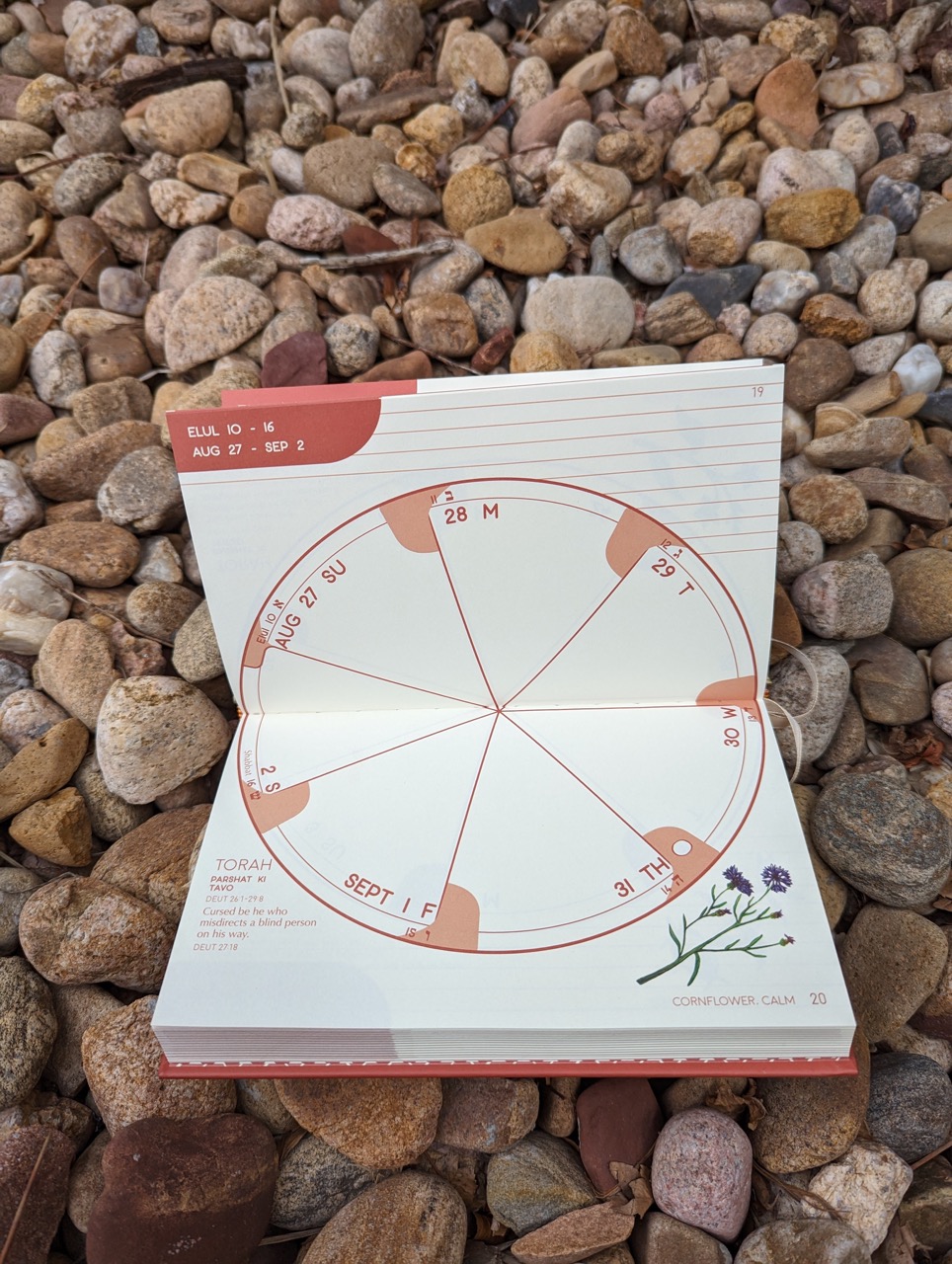 The Jewish Planner 5784 Gold Herring