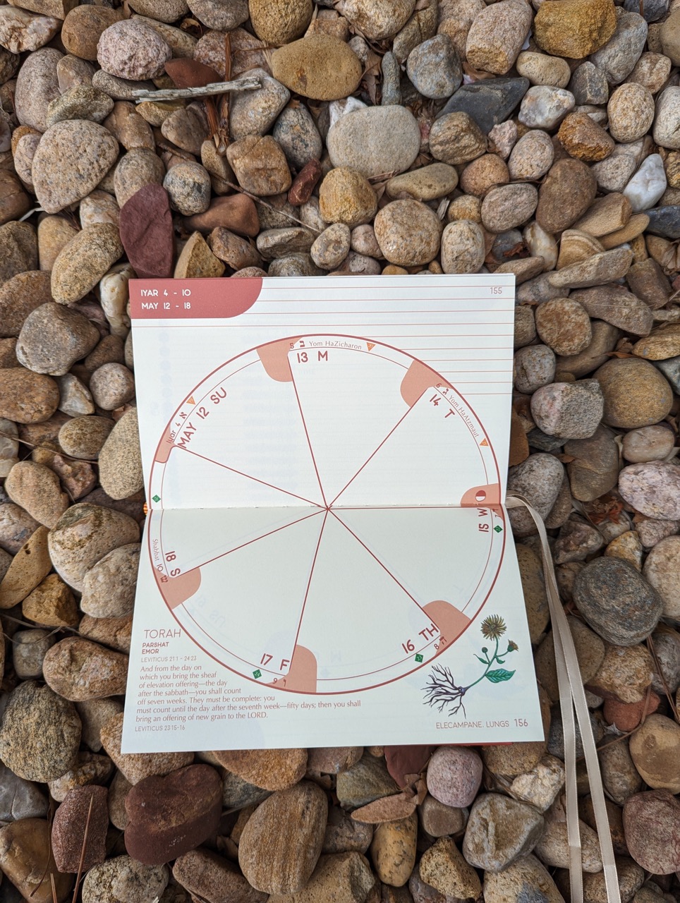 The Jewish Planner 5784 Gold Herring