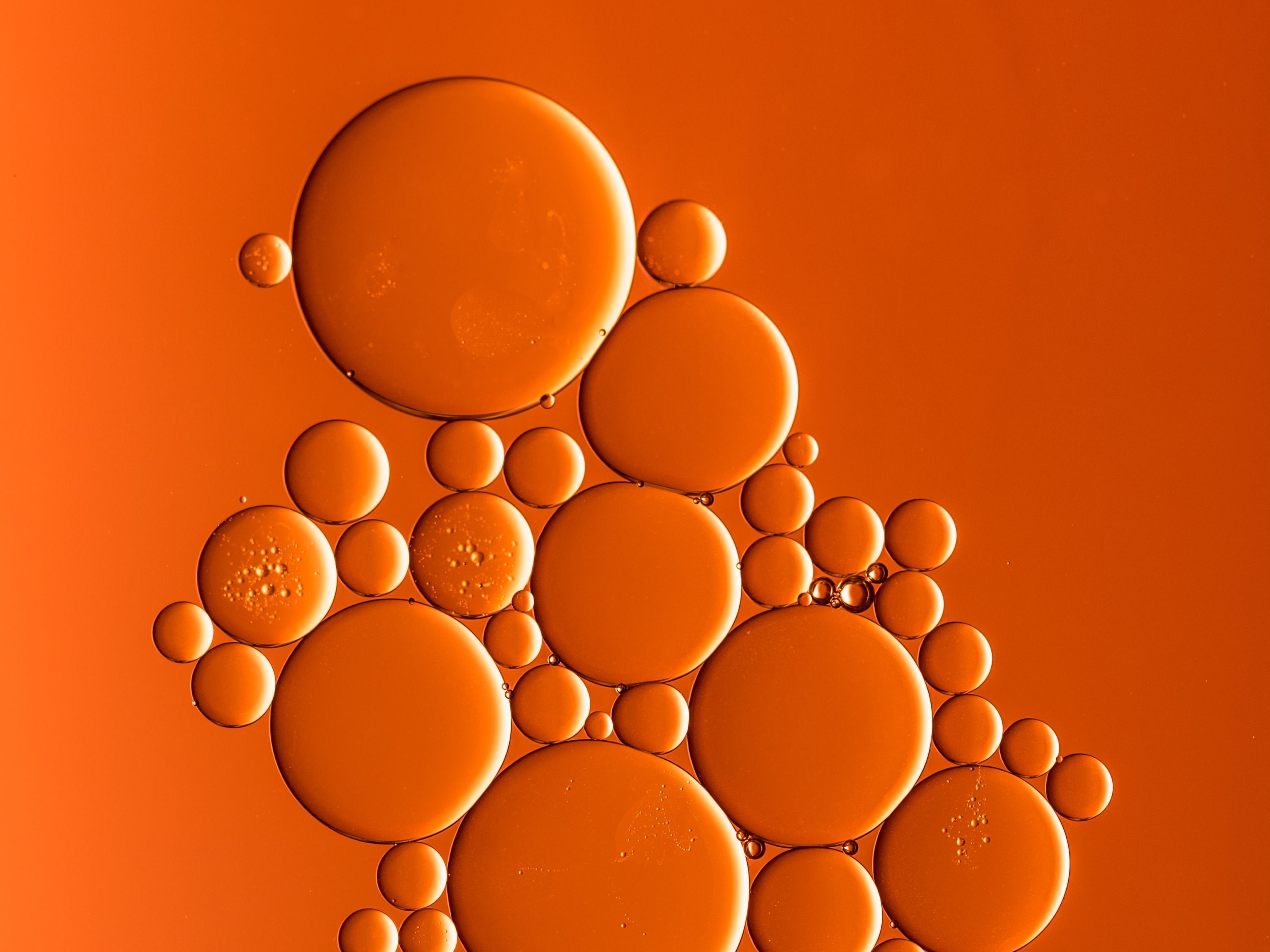 Collecting used cooking oil to produce biodiesel Knowledge Hub