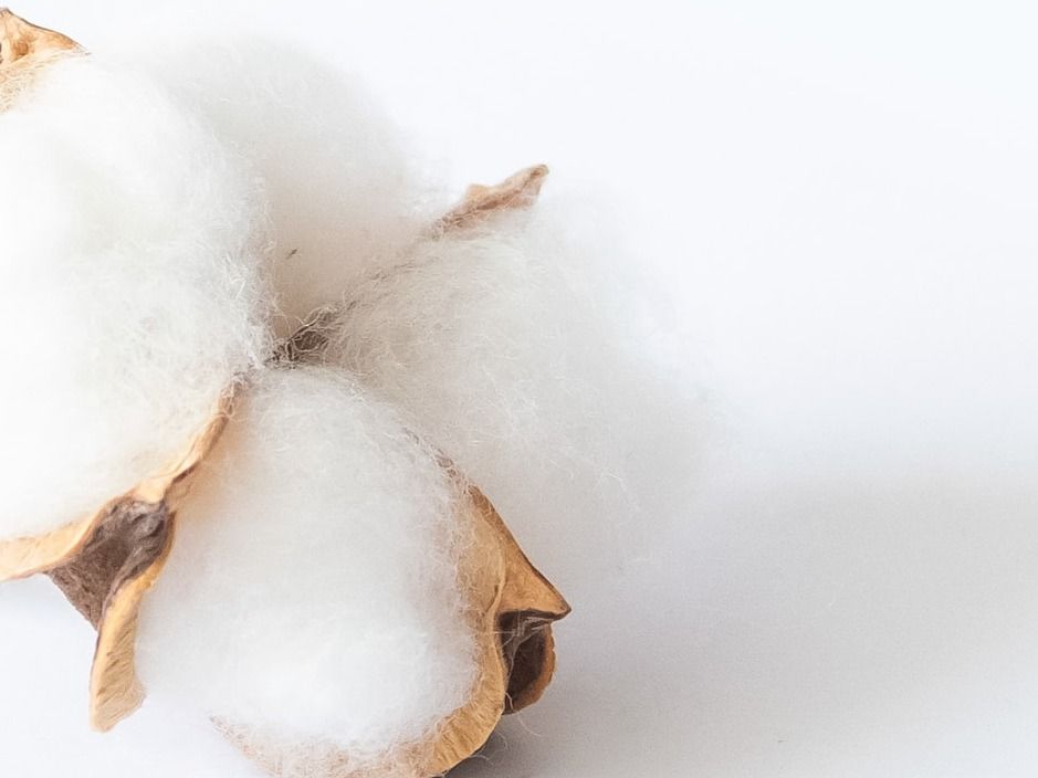 Recover(TM) offers handcrafted recycled cotton fibre Knowledge Hub