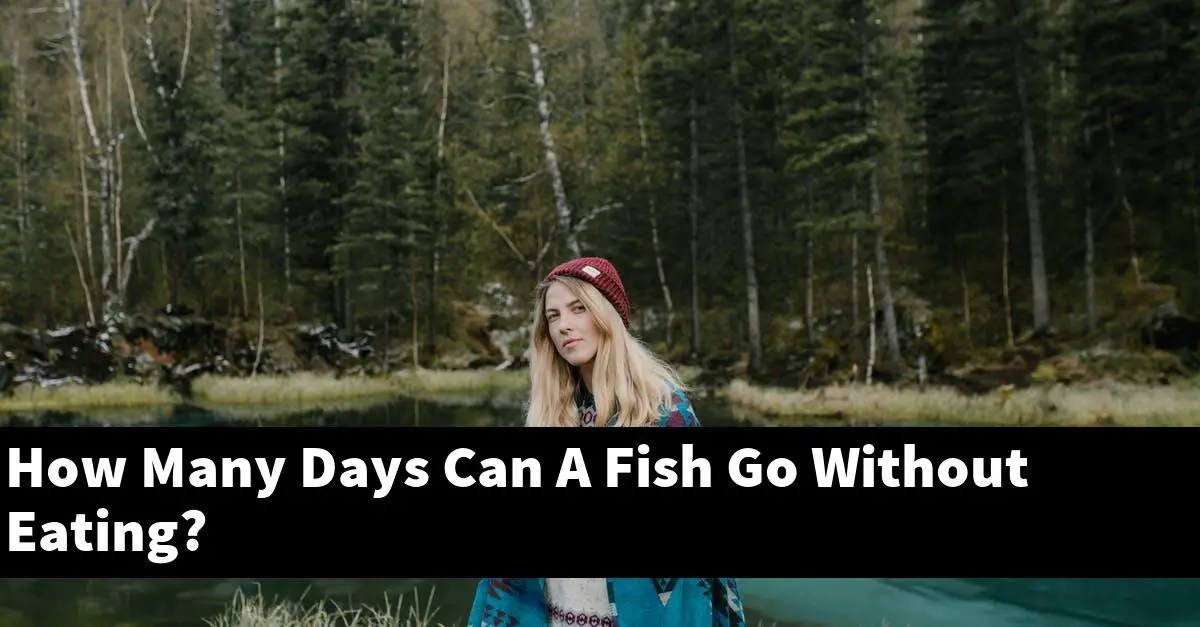 How Many Days Can A Fish Go Without Eating? [2024 Guide] Gold Koi Fish