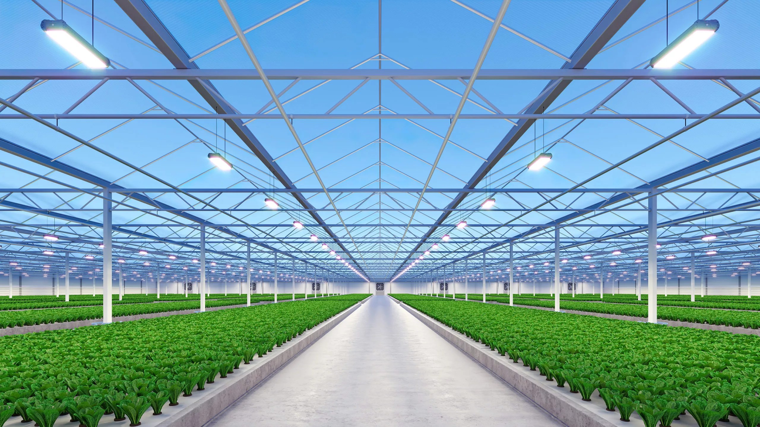 Greenhouse Automation Expertise Gold Leaf