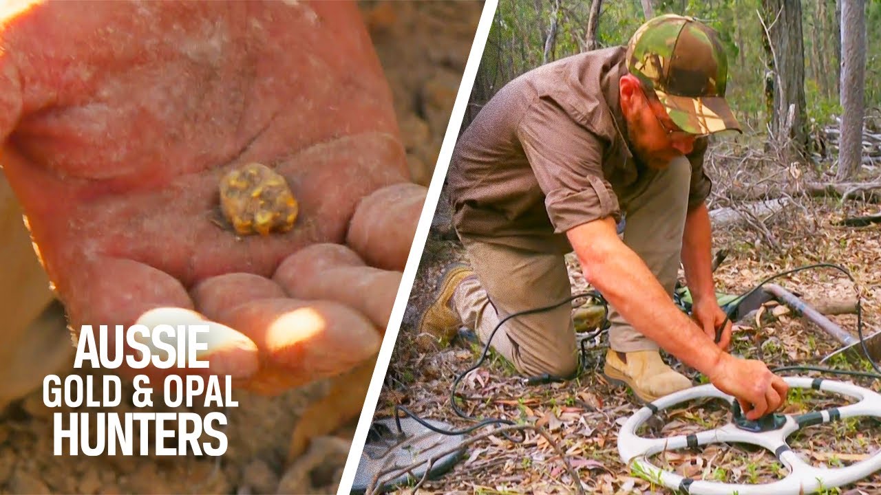 VIDEO A Bigger Metal Detector Leads To Bigger Nuggets! Aussie Gold