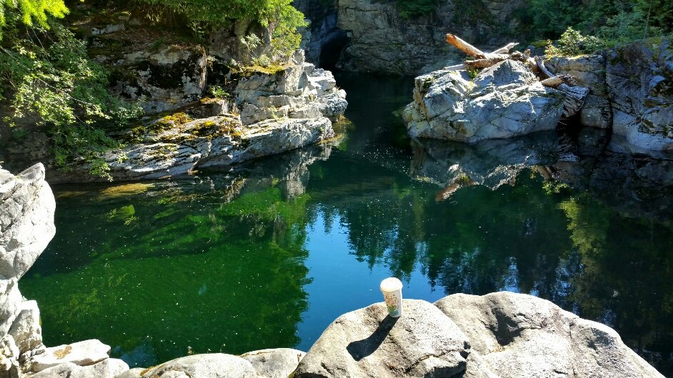 Gold River Home for Rent Gold River Buzz