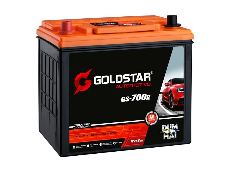 Car Battery GOLDSTAR POWER LIMITED