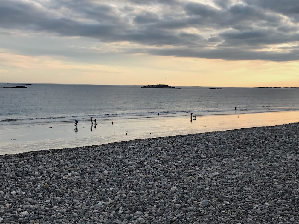 Photographs Goldthwait Reservation