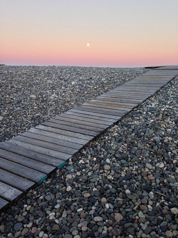 Photographs Goldthwait Reservation