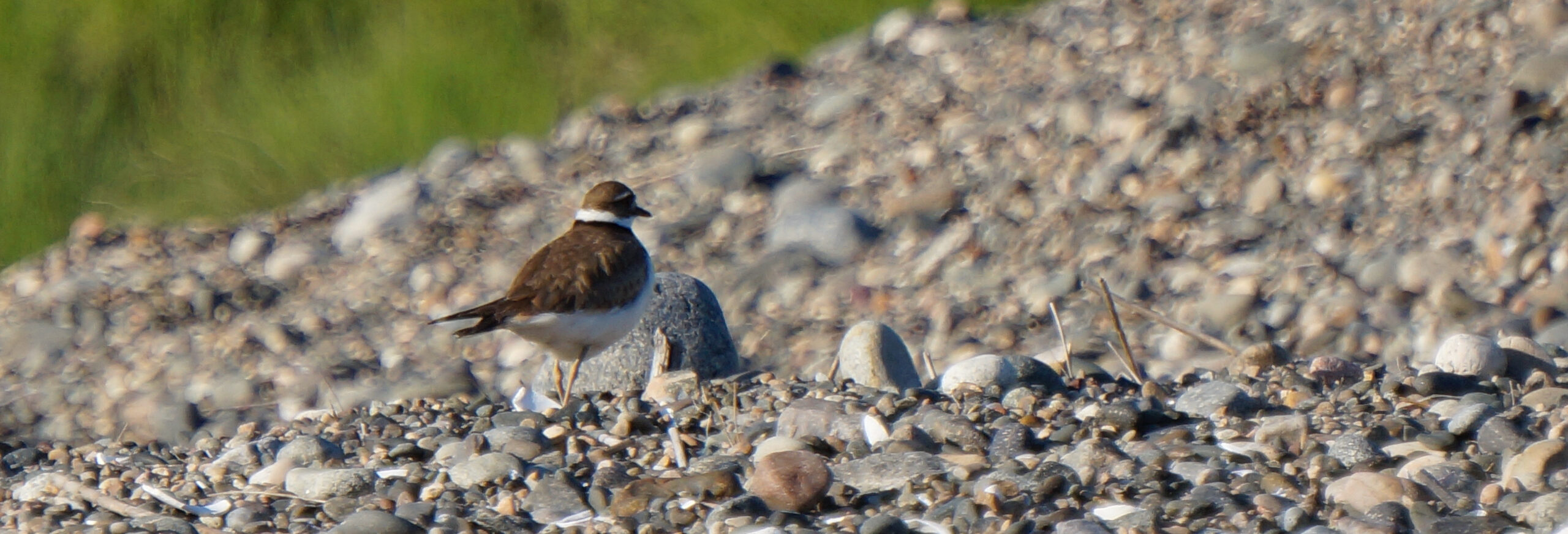 Fish & Wildlife Goldthwait Reservation