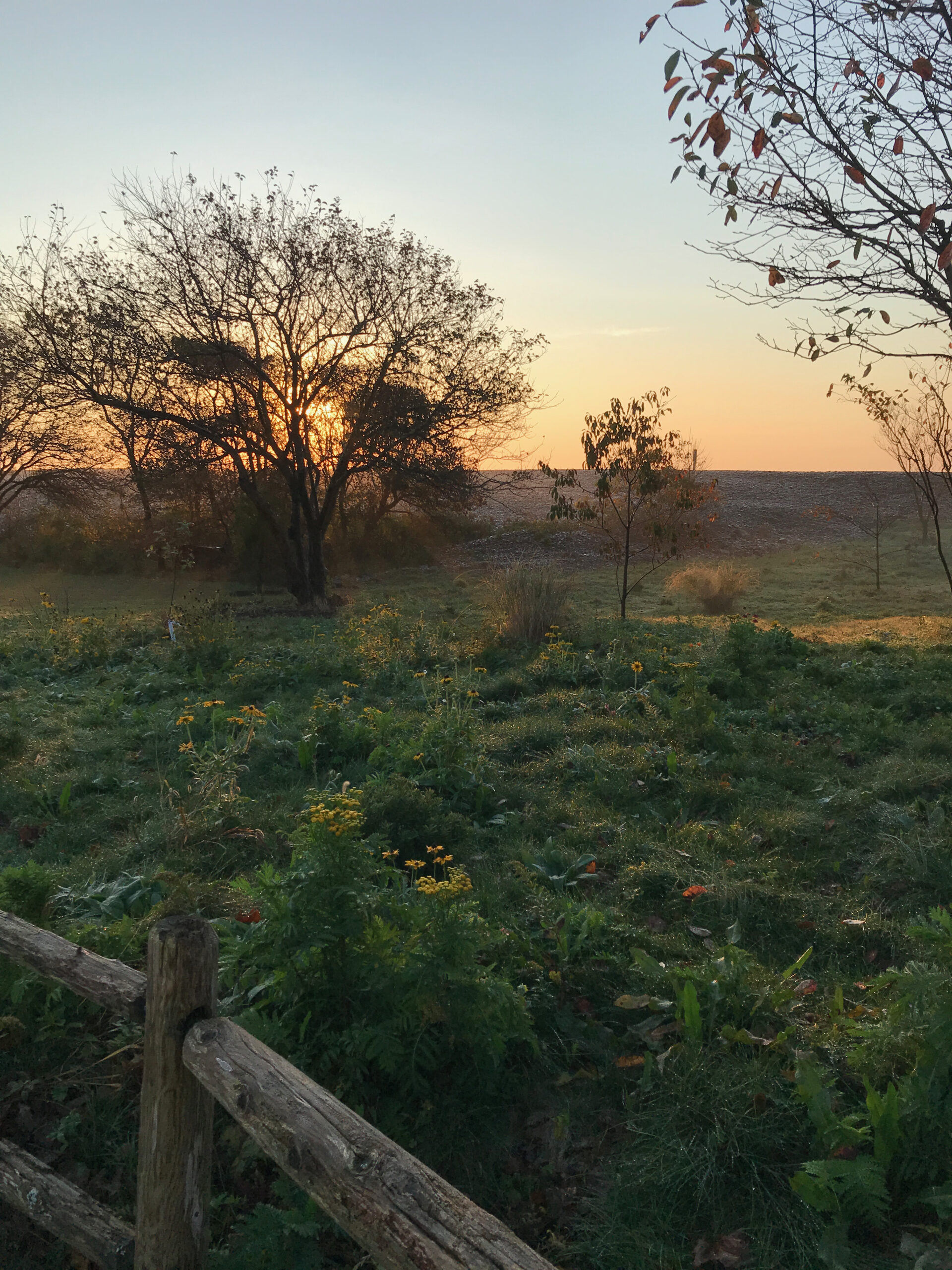 Goldthwait Reservation A private, nonprofit land trust that