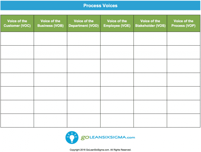 Process Voices