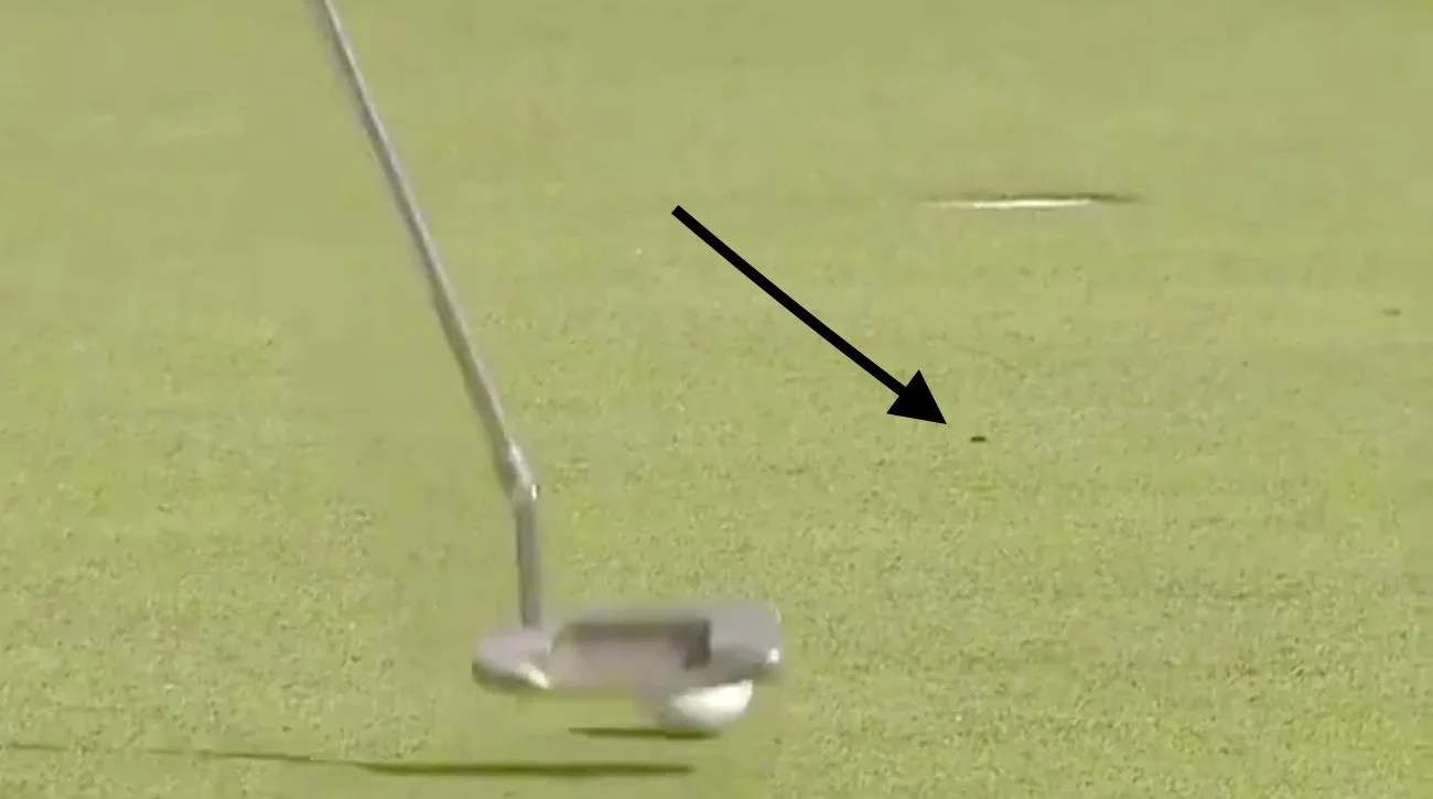 Here's why a bug on the green almost cost Paul Casey a penalty Golf