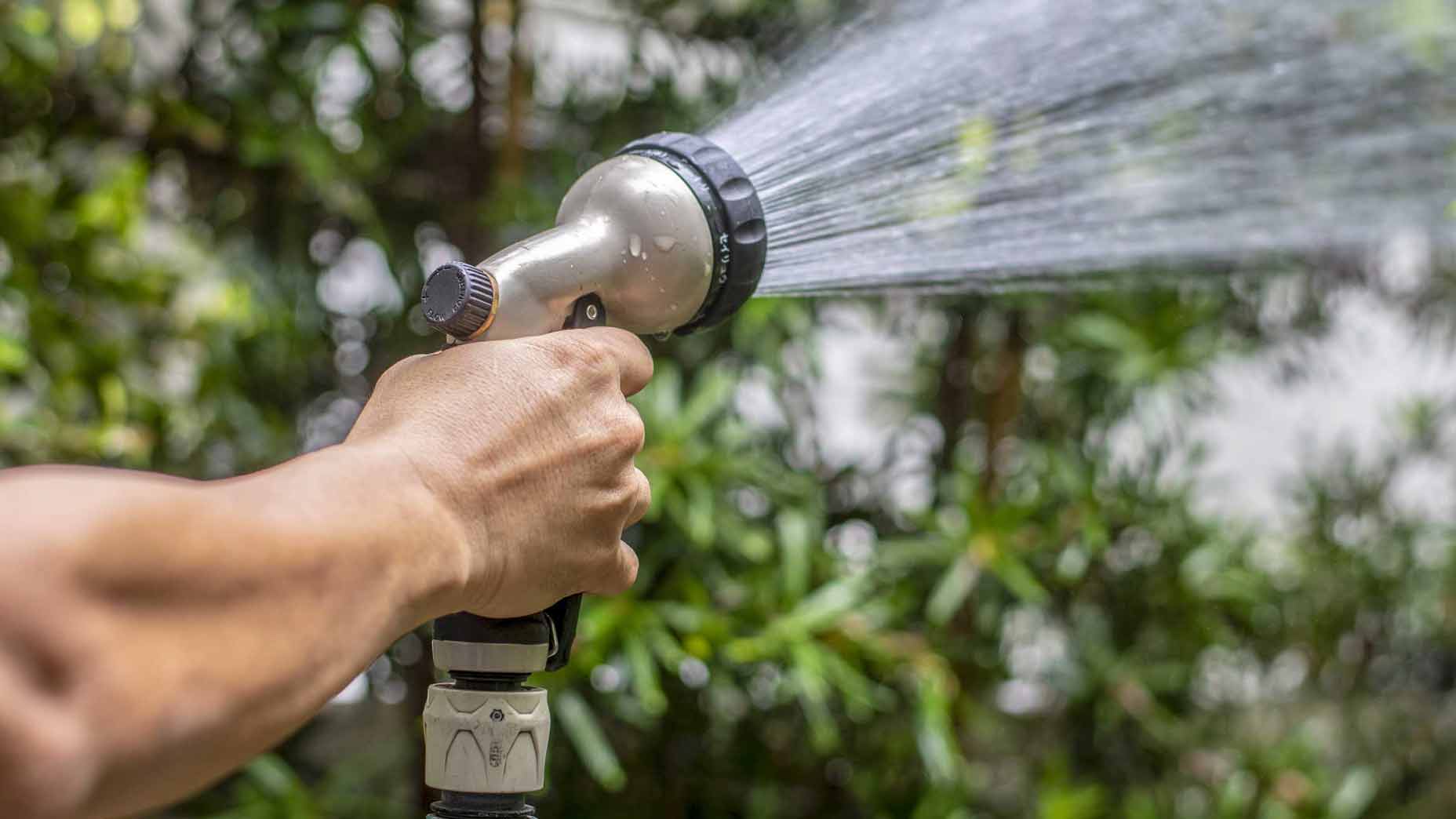 9 lawncare mistakes new homeowners make (and how to avoid them)