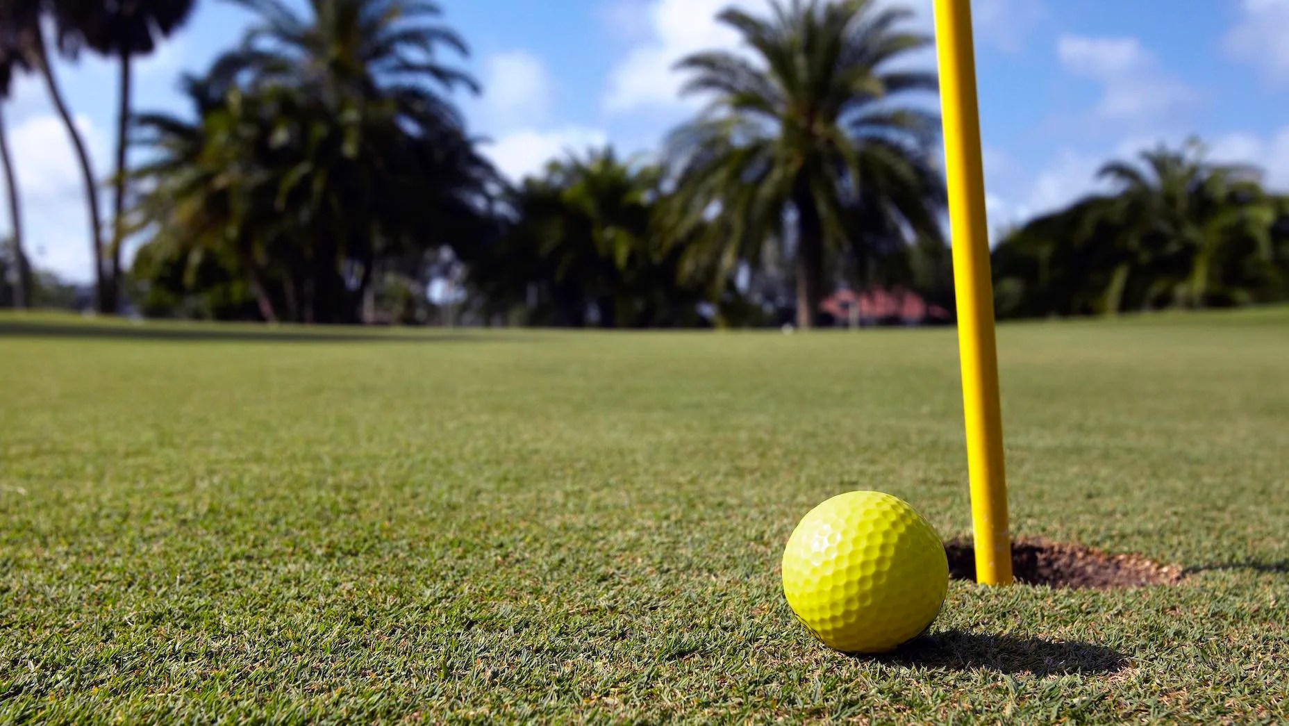 What's the difference between white and yellow golf balls? Fully Equipped