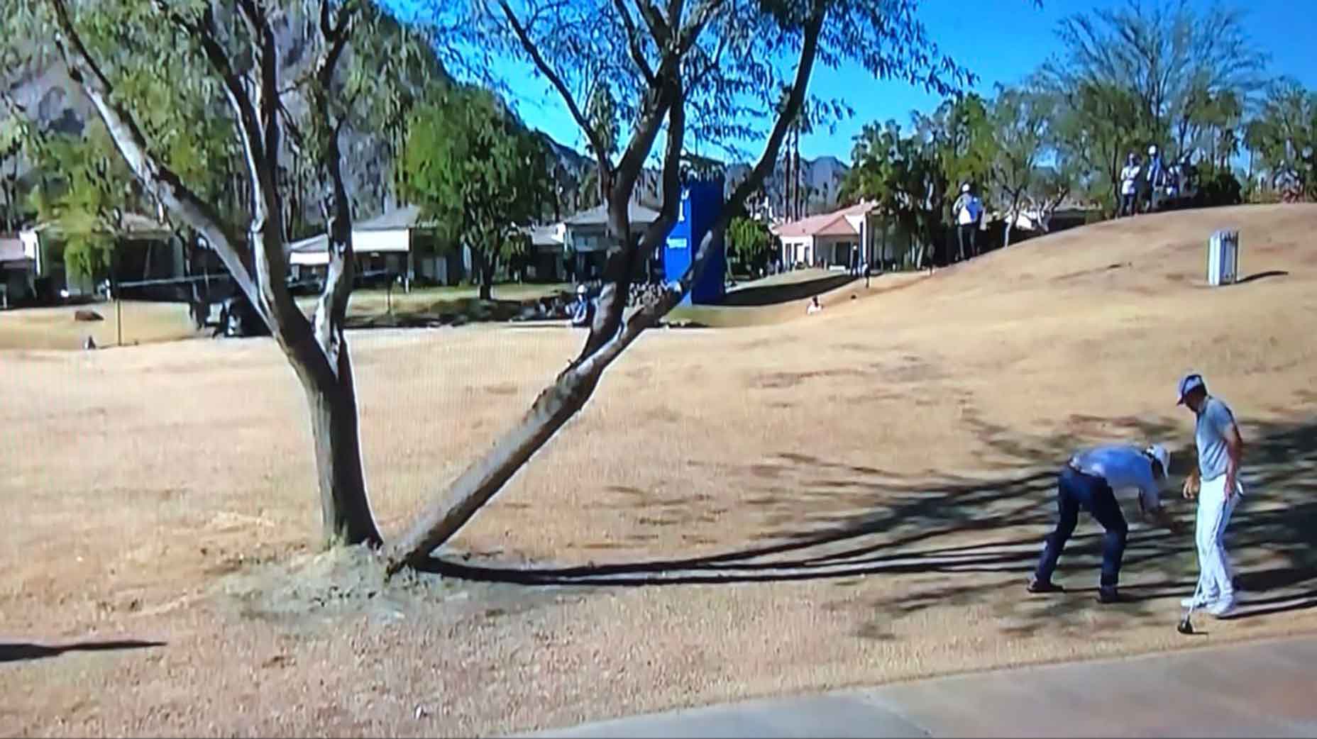 Pro takes advantage of rules — and moves ball 10 yards away from a tree Golf Products Review