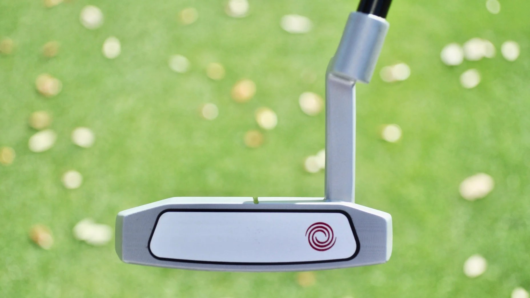 3 things you must consider when conducting a putter search