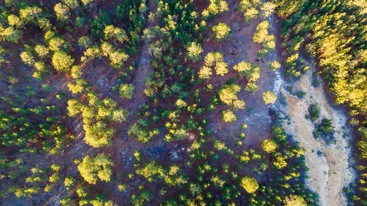 Pinehurst Resort adding Tom Doak course. Here's what will set it apart