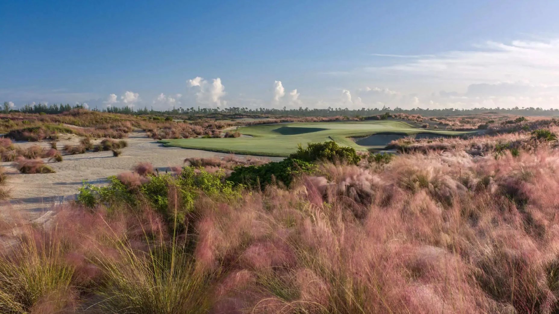 Albany Resort Resort review, golf courses, highlights and more