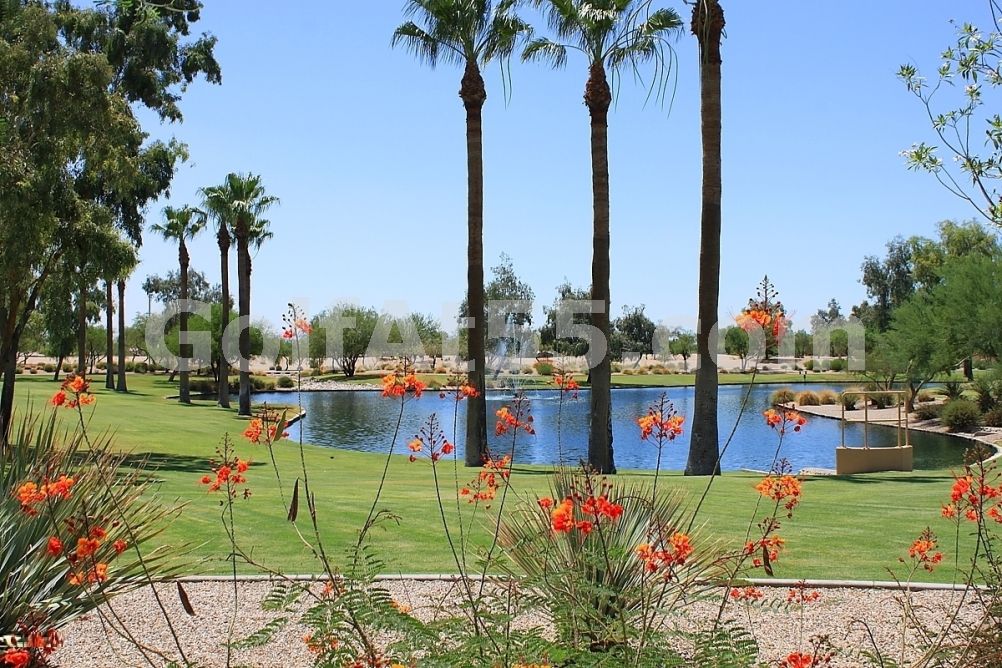 Solera, Chandler AZ Homes for Sale & Real Estate