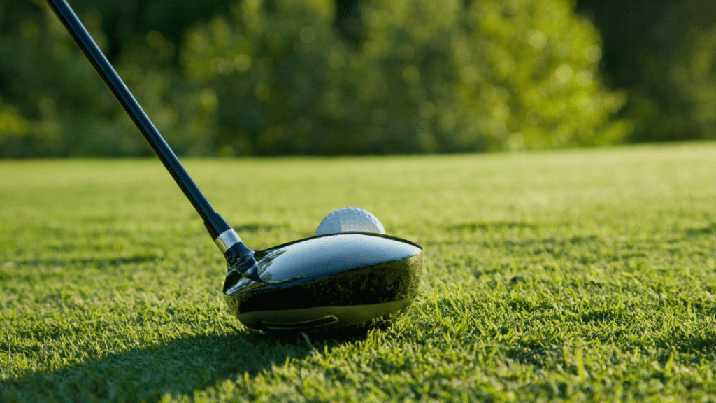 6 Best LeftHanded Drivers Reviewed (Spring 2023)