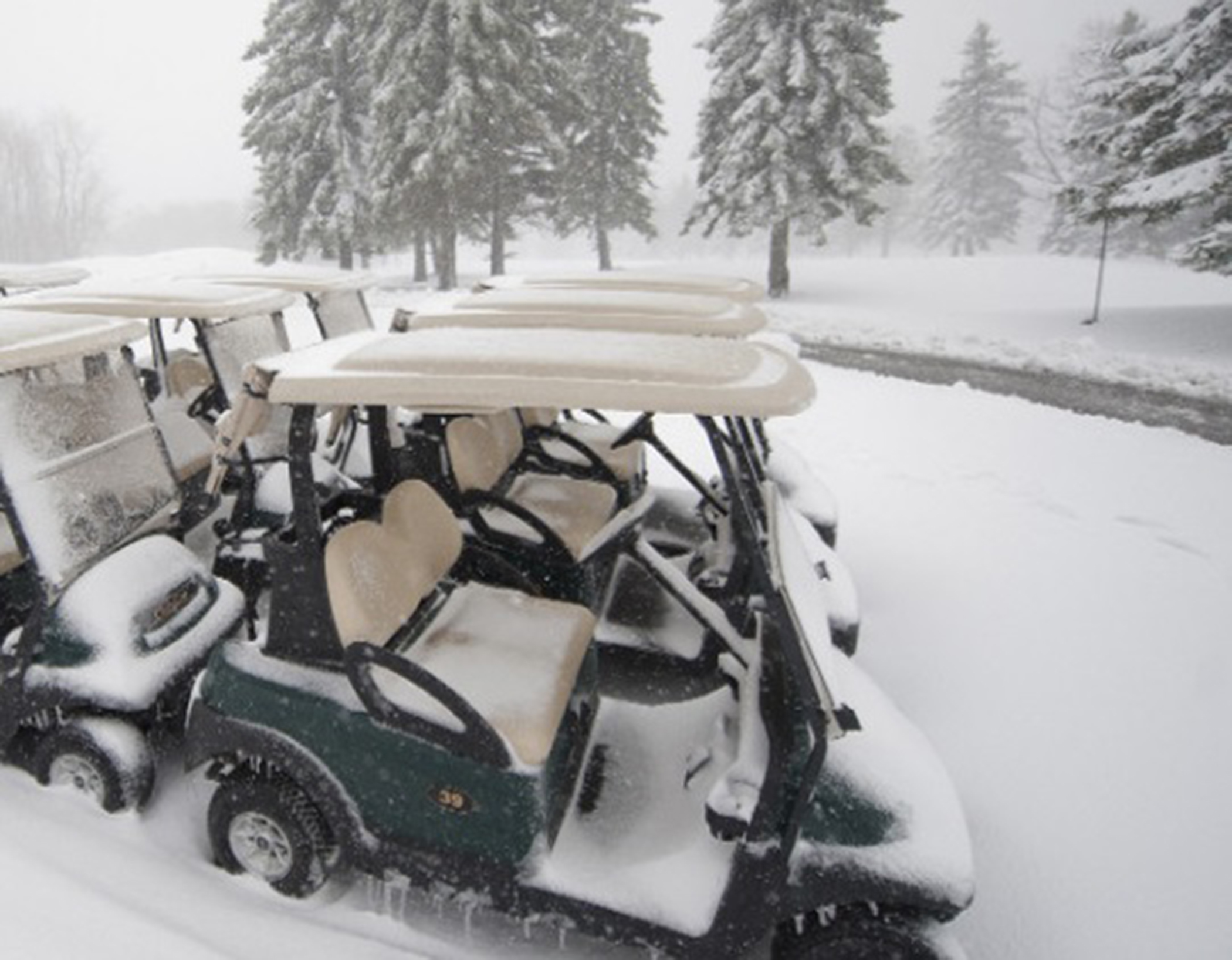 Golf Car Options It's Time To Start Thinking About Storing Your Golf Cart