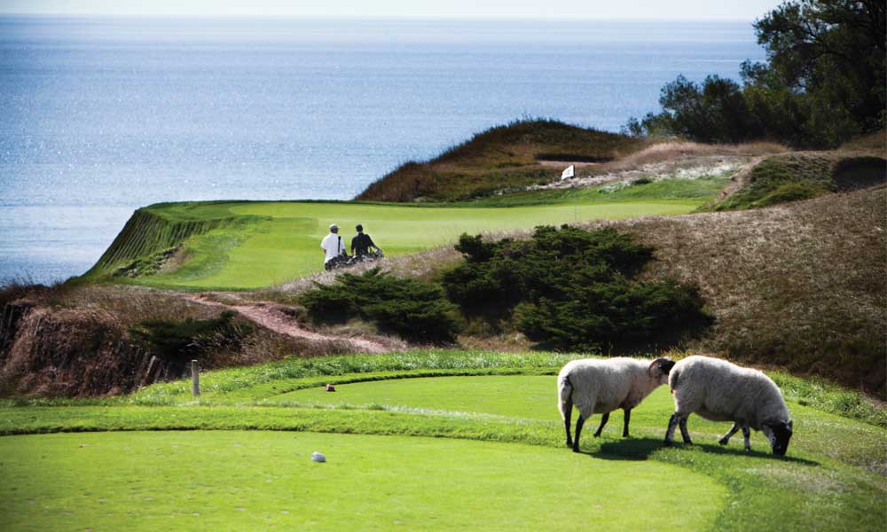 Whistling Straits Golf Course Destination Kohler Golf Course Trades