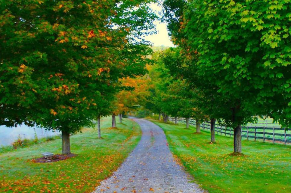 This epic 575acre Vermont Airbnb comes with its own private golf course