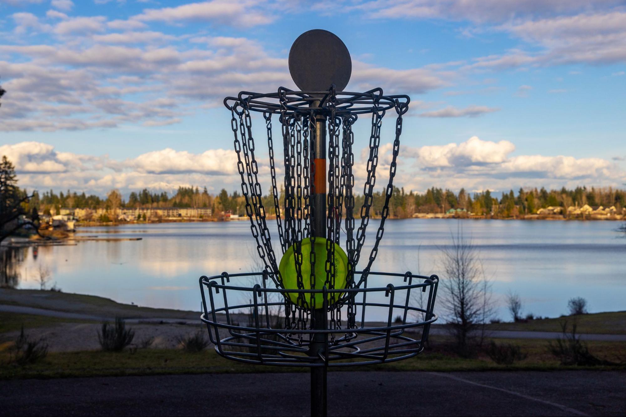 Master the Art of Throwing Disc Golf Strategies and Tips for Beginners