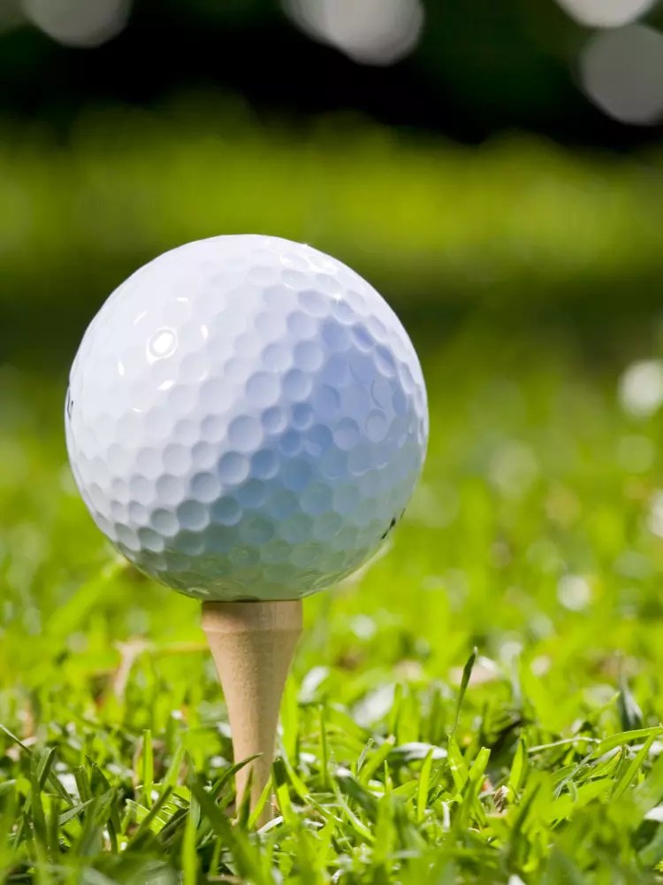 Srixon Golf Balls Review [ Are They Any Good? [ Golfer Watch