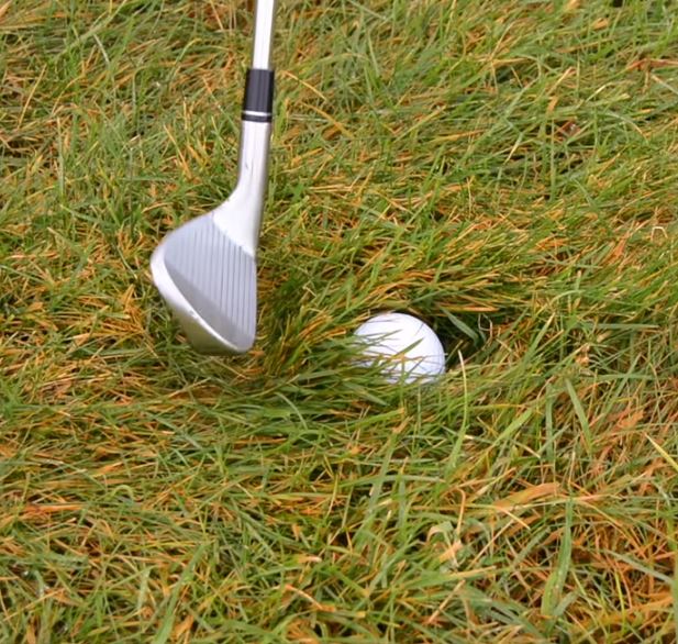 3 Stages To Playing Out of Thick Rough Golf Event Locator