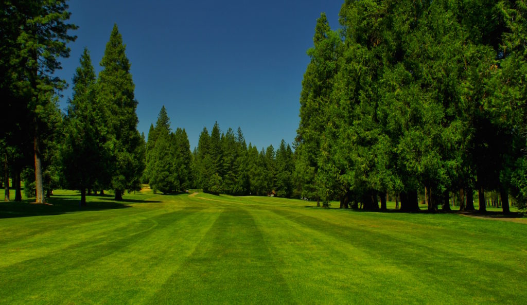 Mace Meadows Golf Course Pacific Coast Golf Guide