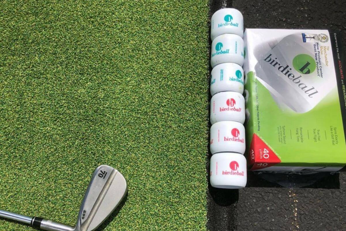 REVIEW Birdie Balls, Do They Actually Work?