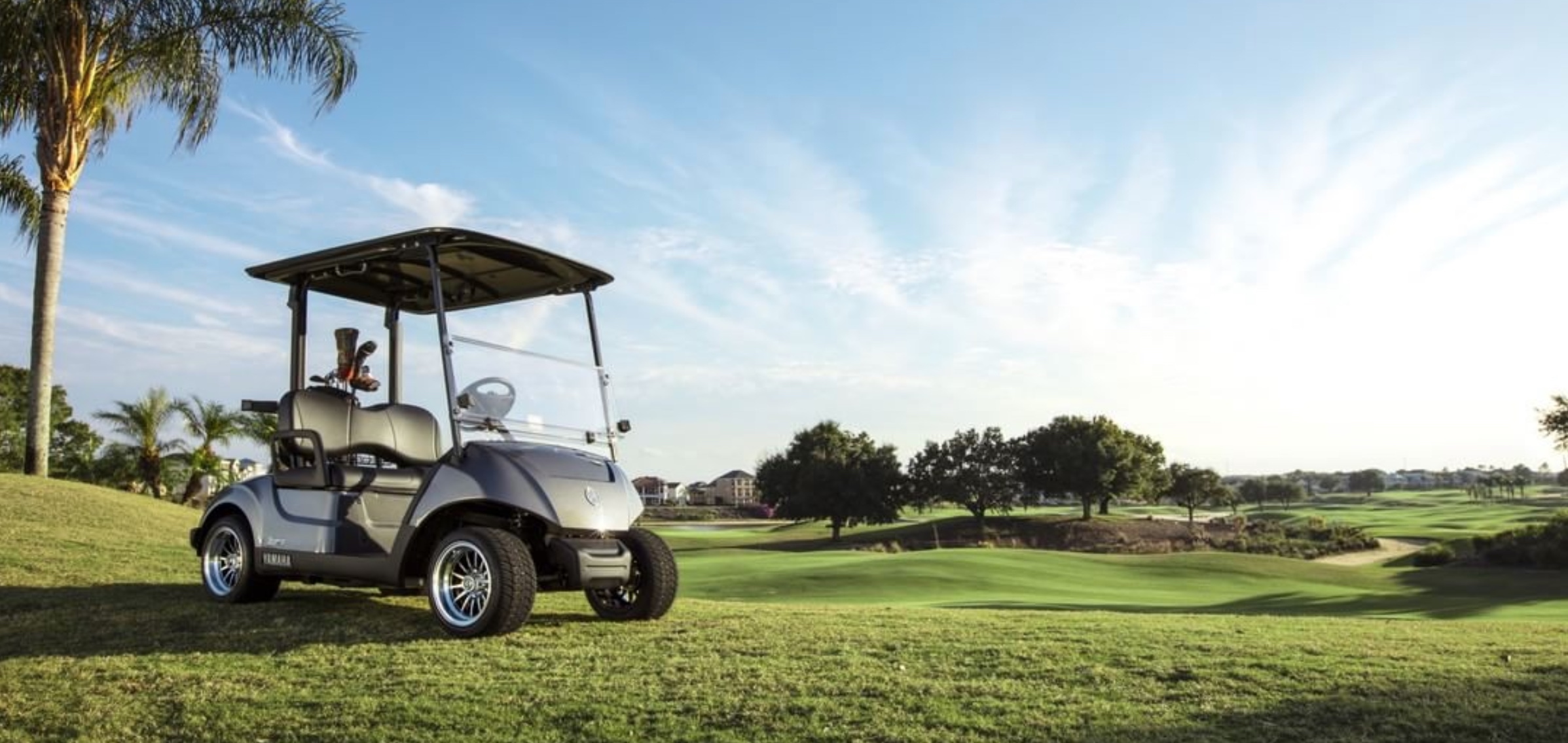 The 5 Best Gas Golf Cart Options in 2020 Golf In Progress