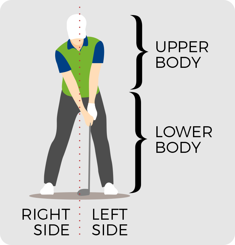 The golf swing and your body Golf Lessons Regina